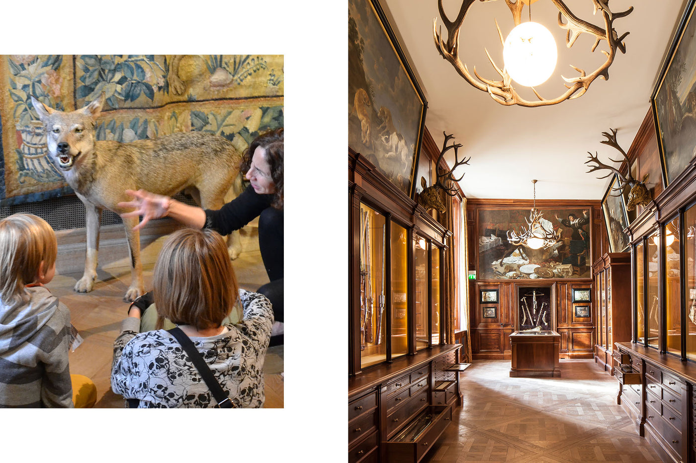 Musée de la Chasse et de la Nature