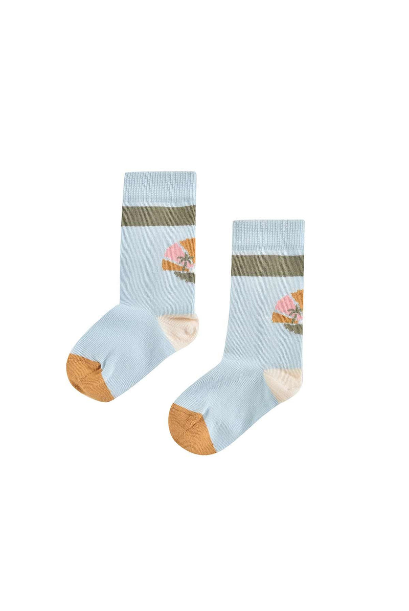 Cedic Socks