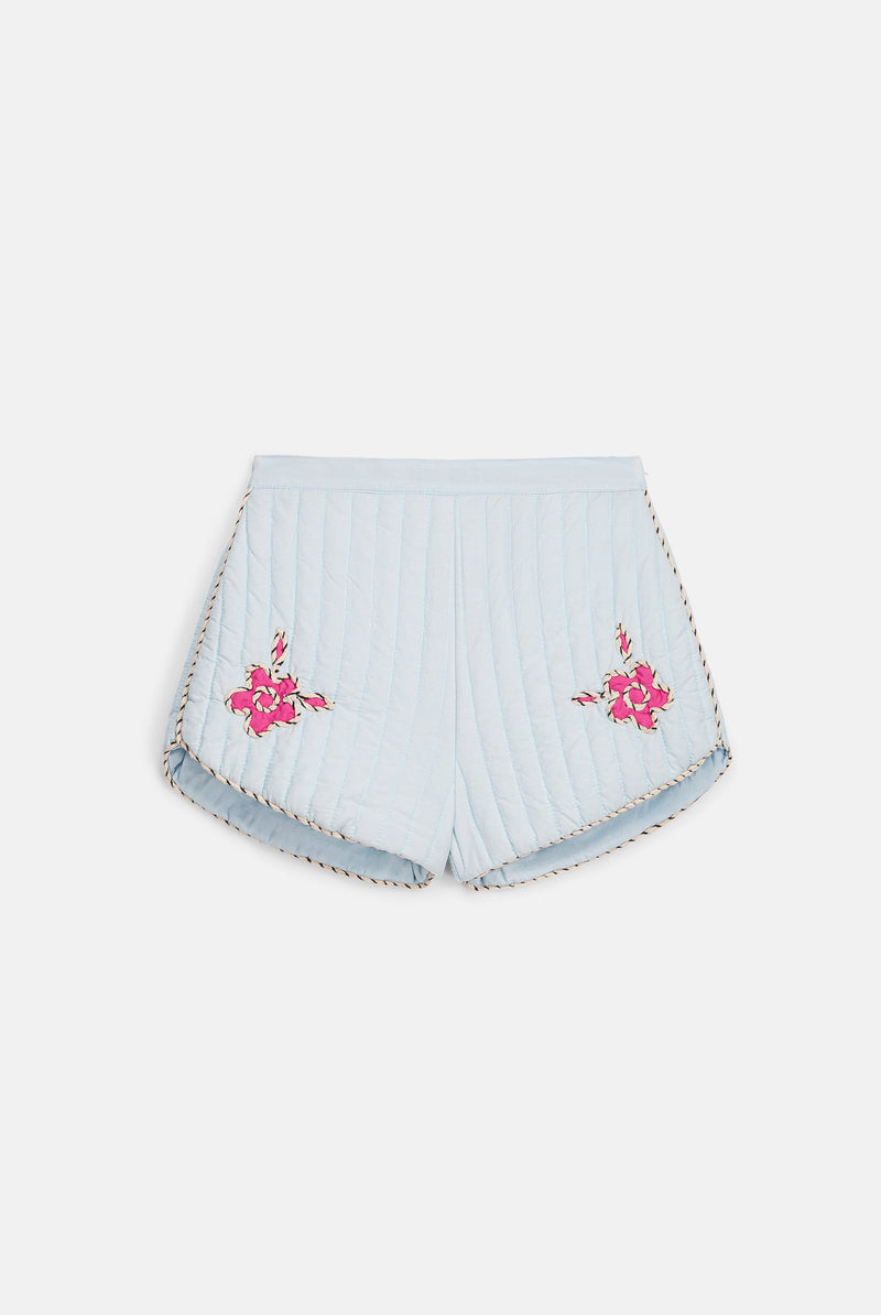 Short Evania